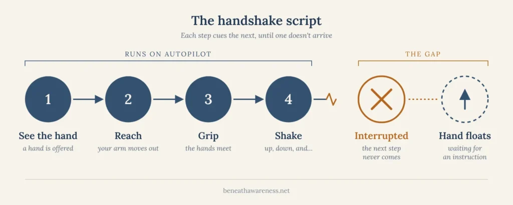 Diagram of the handshake script: see the hand, reach, grip and shake run on autopilot. Then the script is interrupted, the next step never comes, and the hand floats, waiting for an instruction.